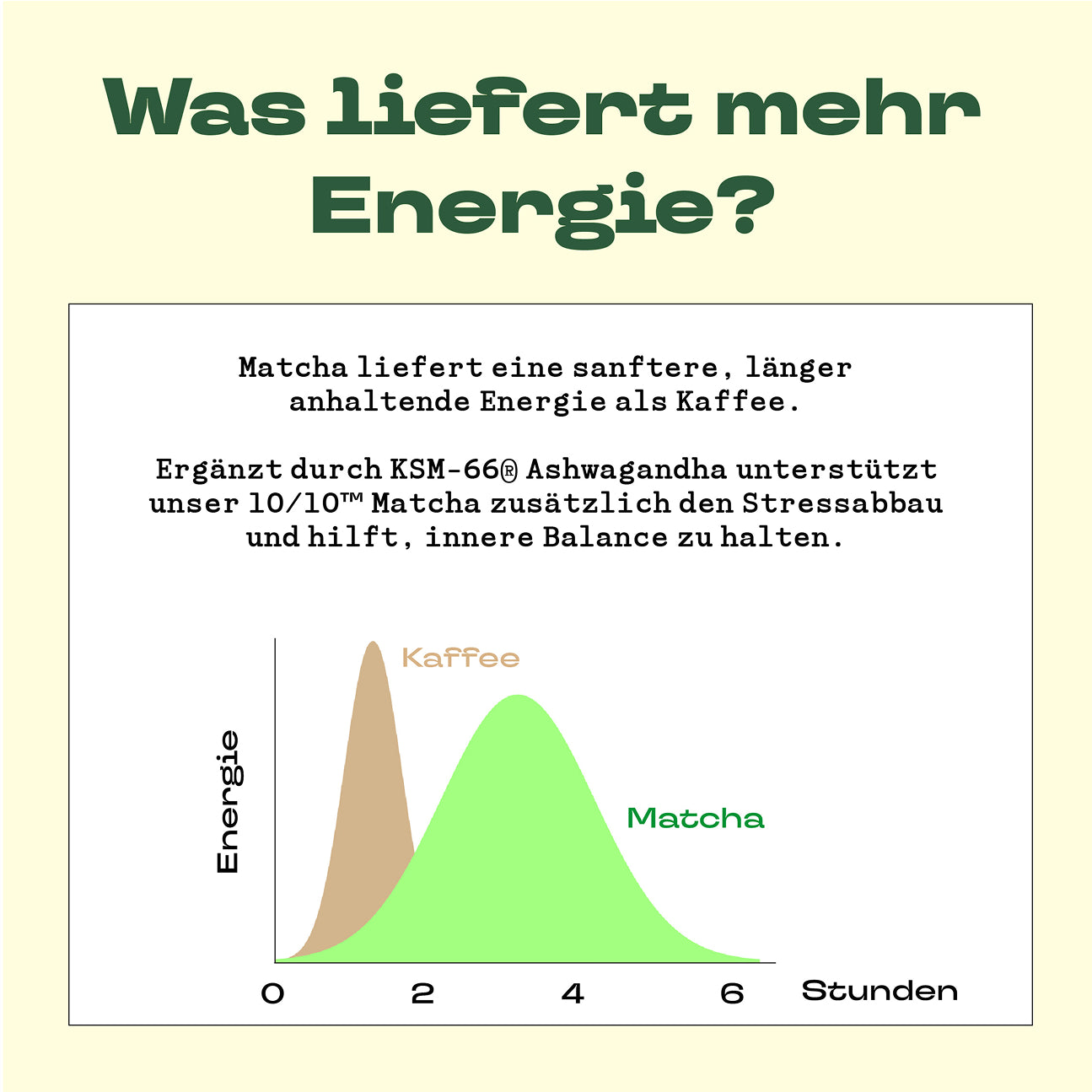 2025 Edition Bio Ceremonial Matcha mit KSM-66® Ashwagandha