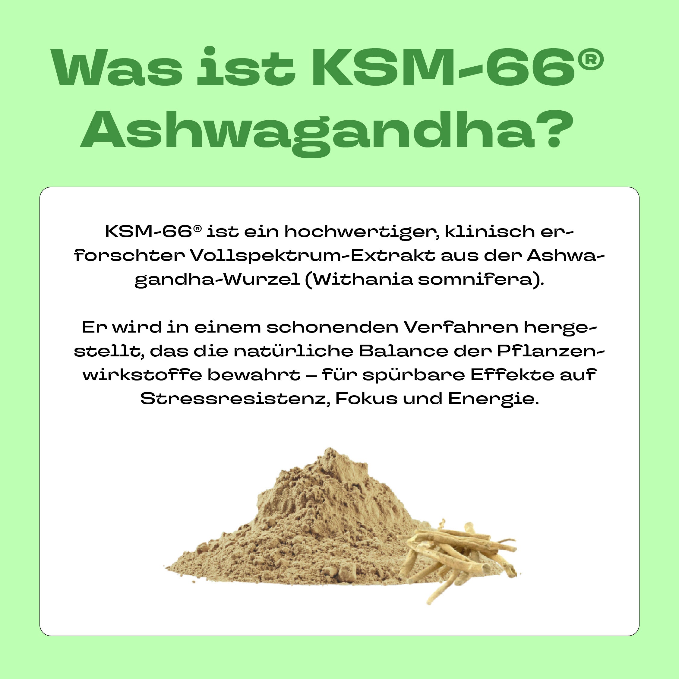 Bio Ceremonial Matcha mit KSM-66® Ashwagandha